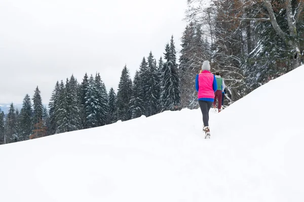 Skupinové procházky zimní Snow horský Les, mladí přátelé vánoční dovolená dovolená dřevo — Stock fotografie