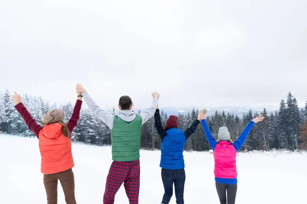 Amigos no topo da montanha Floresta de neve de inverno, Grupo de jovens alegres mãos levantadas Madeira — Fotografia de Stock