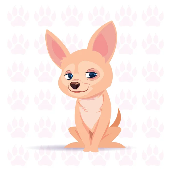 Köpek Chihuahua mutlu çizgi film ayak arka plan sevimli hayvan üzerinde oturan — Stok Vektör