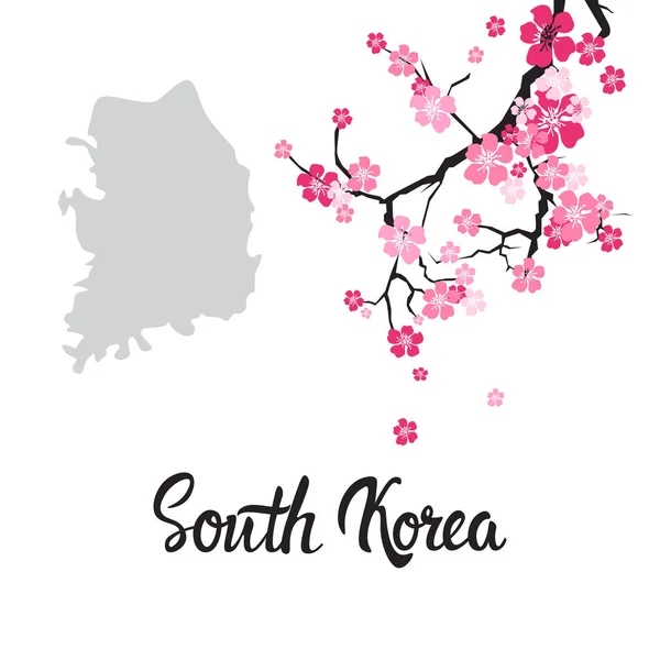 Mapa Jižní Korea s krásné kvetoucí Sakura větev izolovaných na bílém pozadí — Stockový vektor