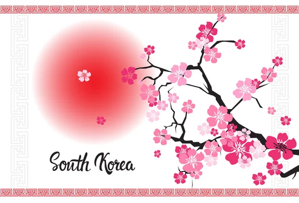 Korea Selatan Surat Dengan Blossom Indah Dari Cabang Sakura Di Latar Belakang Putih - Stok Vektor