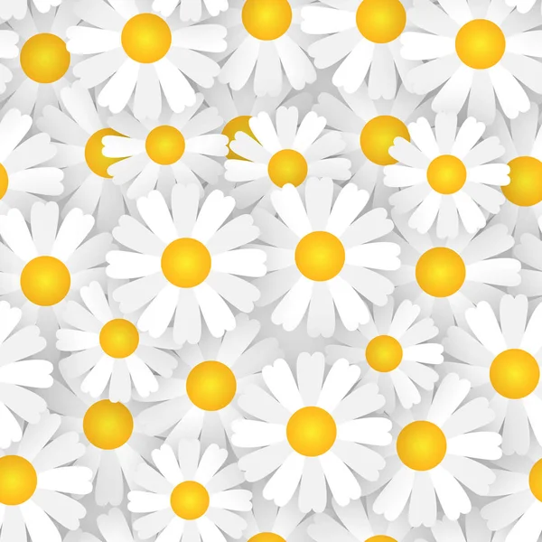 Цветы белого ромашки бесшовный узор Красивый цветочный орнамент фон — стоковый вектор