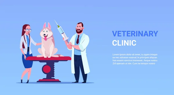 Dierenarts artsen onderzoeken hond dierenarts kliniek en diergeneeskunde Concept — Stockvector