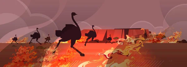 Dangerous wildfire australia forest fires with silhouette of ostriches wild animals bush fire dry woods burning trees natural disaster concept intense orange flames horizontal vector illustration — 스톡 벡터