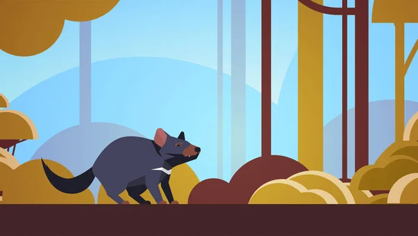 Tasmanische Teufel Wandern im Wald australische wild lebende Tiere Fauna Konzept Landschaft Hintergrund horizontal — Stockvektor