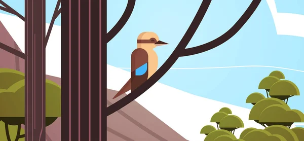 Kookaburra ptak siedzi na gałęzi australijskie dzikie zwierzęta dzika faza koncepcja tropikalny wyspa krajobraz morski tło poziome — Wektor stockowy