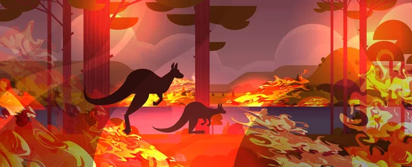 オーストラリアの森林火災から逃げるカンガルー野火で死ぬブッシュ火災木を燃やす自然災害の概念強烈なオレンジ炎水平 — ストックベクタ
