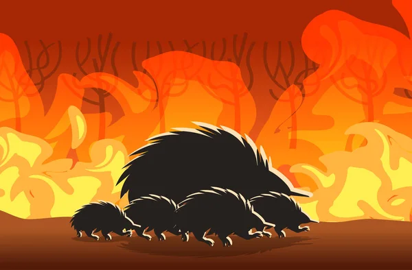 Silhuetas de echidna que correm de incêndios florestais na Austrália animais que morrem em incêndios florestais árvores ardentes conceito de desastre natural chamas alaranjadas intensas horizontal — Vetor de Stock