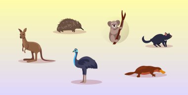 Çizgi film koy nesli tükenmekte olan vahşi Avustralya hayvanları Tazmanya canavarı echidna devekuşu ornitorenk koala kanguru sembolleri vahşi yaşam türleri için düz yatay konsept.