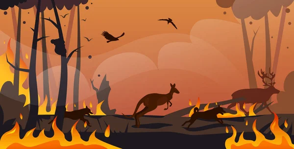 Australische Tiere Silhouetten von Waldbränden in Australien Lauffeuer Buschfeuer brennende Bäume Naturkatastrophen Konzept intensive orangefarbene Flammen horizontal — Stockvektor