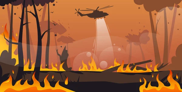 Helicóptero extingue peligroso incendio forestal en Australia lucha contra incendios forestales secos quema árboles extinción de incendios concepto de desastre natural intensas llamas de color naranja horizontal — Vector de stock