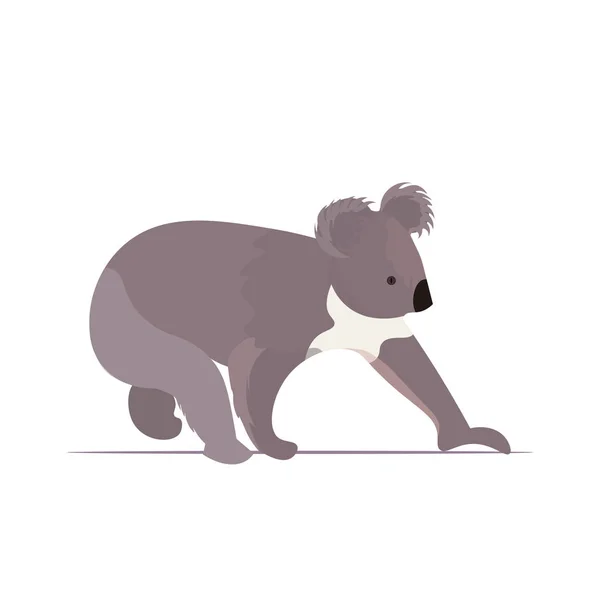 Koala icon cartoon endangered wild australian animal symbol wildlife species fauna concept flat — 스톡 벡터