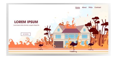 Avustralya devekuşları Avustralya 'daki orman yangınlarından kaçıyorlar. Yangın evleri yakıyor. Doğal afet kavramı. Yoğun turuncu alevler yatay kopyalama alanı.