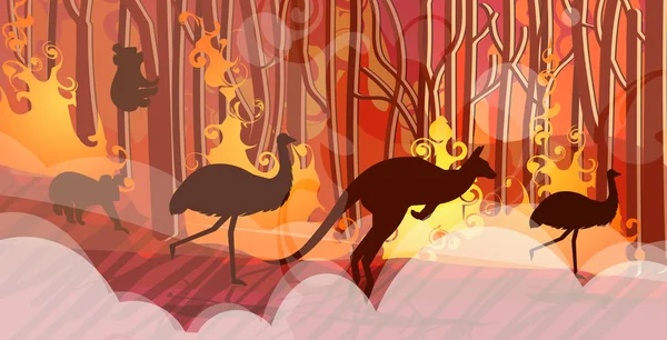 Australská zvířata siluety běží od lesních požárů v Austrálii Wildfire keře hořící stromy přírodní katastrofa koncept intenzivní oranžové plameny horizontální — Stockový vektor