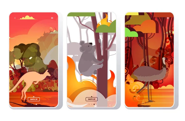 Set avestruz canguro koala running from forest fires in australia animals dying in wildfire bushfire natural disaster concept intense orange flames smartphone screens collection mobile app — Vector de stock