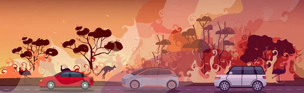 Avustralya 'da orman yangınlarından kaçan otomobil ve hayvanlar orman yangını ağaçları yakıyor doğal afet tahliyesi yoğun turuncu alevler yatay — Stok Vektör