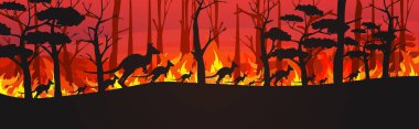 Avustralya 'daki orman yangınlarından kaçan kanguruların siluetleri orman yangınlarında ölen vahşi ateş çalı ağaçları doğal afet kavramı yoğun turuncu alevler yatay