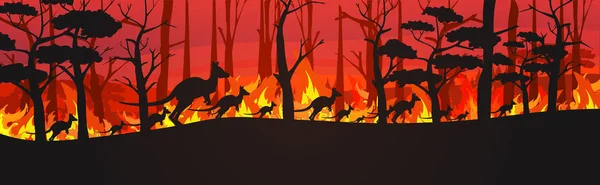 Sylwetki kangurów uciekających przed pożarami lasów w Australii zwierzęta ginące w pożarze krzewów leśnych płonące drzewa koncepcja klęski żywiołowej intensywne pomarańczowe płomienie poziome — Wektor stockowy