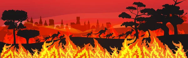 Siluetas de canguros que huyen de incendios forestales en Australia animales que mueren en incendios forestales ardiendo árboles concepto de desastre natural intensas llamas naranjas horizontales — Vector de stock