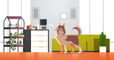 Otomatik dijital evcil hayvan kuru gıda deposu köpek ai yemek yiyici konsepti için kemik atıyor akıllı hayvan modern oturma odasını yatay olarak besliyor