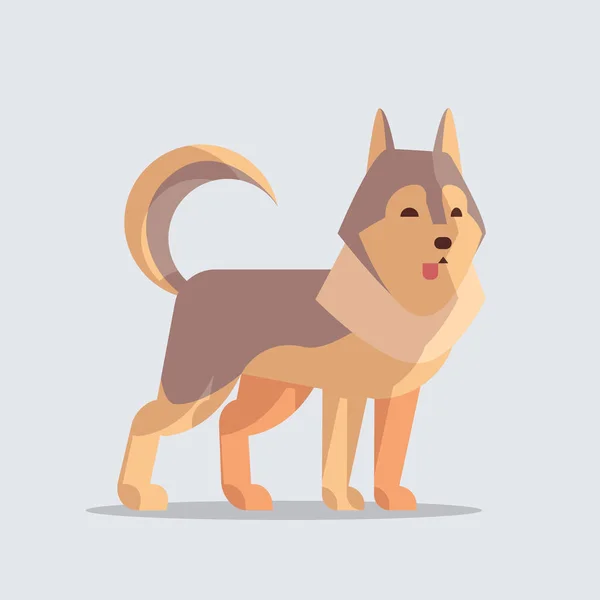 Husky χαριτωμένο σκυλί εικονίδιο γούνινο ανθρώπινο φίλους σπίτι ζώα έννοια πλήρες μήκος — Διανυσματικό Αρχείο