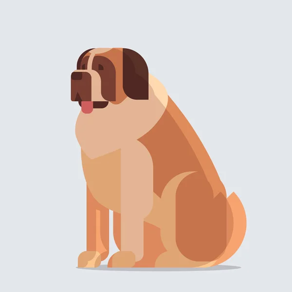 Short-haired άγιος Bernard σκυλί εικονίδιο γούνινο ανθρώπινο φίλο σπίτι ζώων έννοια πλήρους μήκους — Διανυσματικό Αρχείο