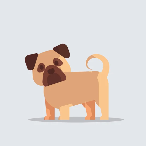 Pug χαριτωμένο σκυλί εικονίδιο γούνινο τους ανθρώπους φίλους σπίτι ζώα έννοια πλήρες μήκος — Διανυσματικό Αρχείο