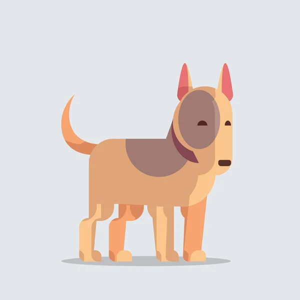 Ταύρος terrier χαριτωμένο σκυλί εικονίδιο γούνινο ανθρώπινο φίλο σπίτι κατοικίδιο ζώο έννοια κινουμένων σχεδίων πλήρους μήκους — Διανυσματικό Αρχείο
