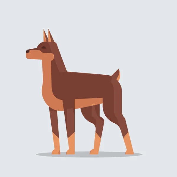 Doberman pes ikona chlupatý lidé přátelé domácí zvířata kreslený zvířata koncept plné délky — Stockový vektor