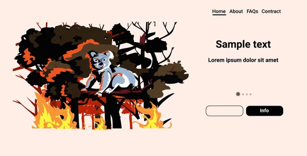Koala urso sentado em incêndios florestais de árvores na Austrália animais morrendo em incêndios florestais conceito de desastre natural intenso chamas laranja espaço de cópia horizontal — Vetor de Stock