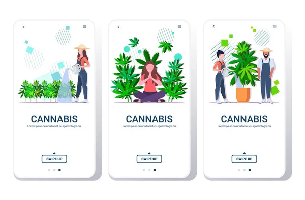 Set gazdák öntözés cannabis lány élvezi narkotikus hatás ipari kender ültetvény növekvő marihuána növény kábítószer-fogyasztás koncepció okostelefon képernyők gyűjtemény mobil app másolás tér — Stock Vector