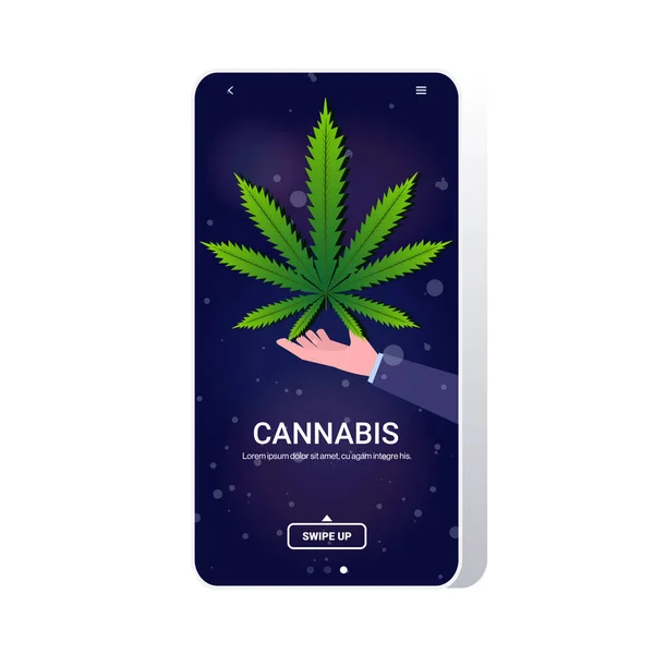大麻の大麻の葉大麻植物医薬品消費コンセプトモバイルアプリスマートフォンの画面コピースペースを保持する人間の手 — ストックベクタ