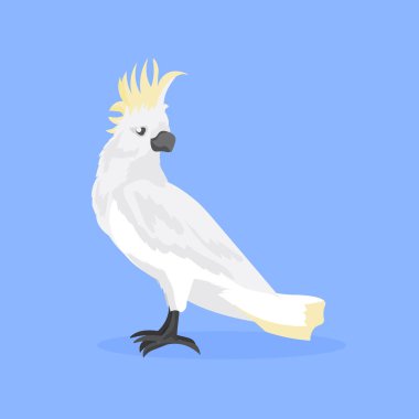 Papağan ikonu sevimli çizgi film vahşi hayvan sembolü vahşi yaşam türleri hayvan konsepti düz