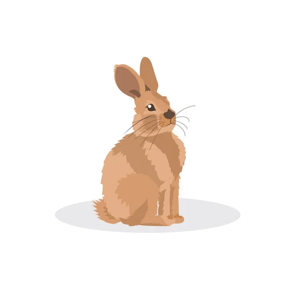 Conejo icono de dibujos animados en peligro de extinción animal australiano salvaje símbolo fauna especies concepto plano — Vector de stock