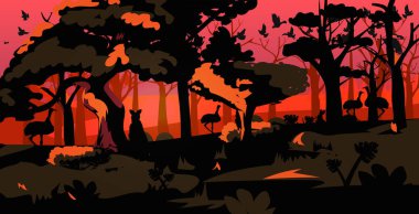 Avustralya 'daki orman yangınlarından kaçan hayvan siluetleri orman yangını çalı ağaçları yakıyor doğal afet kavramı yoğun turuncu alevler yatay alevler