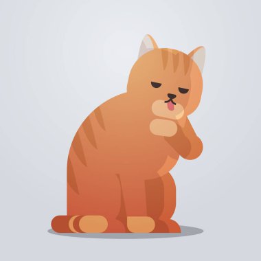 Şirin kedi ikonu pofuduk sevimli çizgi film hayvan evcil kedi evcil hayvan konsepti düz boy