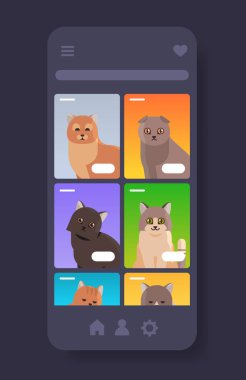 cute different cats fluffy adorable cartoon animals domestic kitty home pets website or online shop smartphone screen mobile app copy space portrait vertical