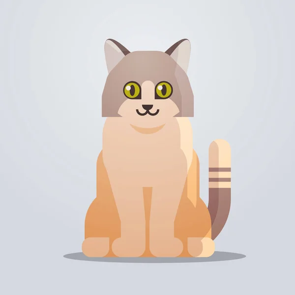 Lindo gato icono esponjoso adorable dibujos animados animal doméstico gatito hogar mascota concepto plana longitud completa — Vector de stock