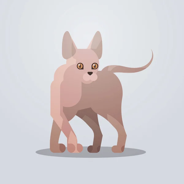 Lindo esfinge gato icono adorable dibujos animados animal doméstico gatito hogar mascota concepto plana longitud completa — Vector de stock