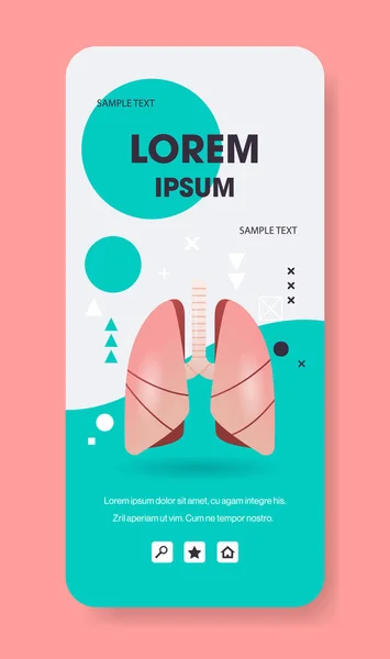 Lungs structure human internal organ anatomy biology healthcare medical concept respiratory breathing system smartphone screen mobile app vertical copy space flat — 图库矢量图片