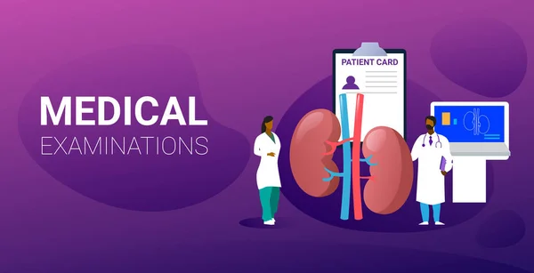 Doctors team examining human kidneys medical consultation internal organ inspection examination treatment concept horizontal full length — 스톡 벡터