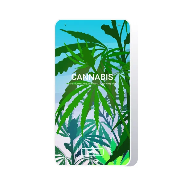 Hemp industrial plantation medical cannabis or marijuana leaves background drug consumption concept smartphone screen mobile app copy space — ストックベクタ