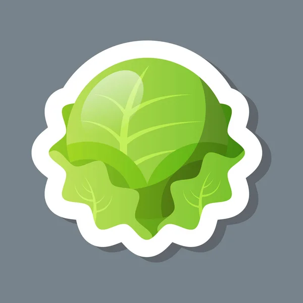 Verse groene kool ijsberg sla sticker smakelijk groente icoon gezond voedsel concept — Stockvector