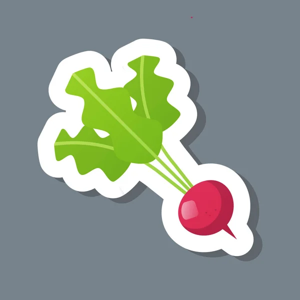 Fresh garden radish sticker tasty vegetable icon healthy food concept — Stock Vector