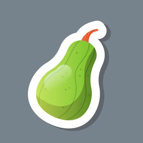 Frischer grüner Kürbis-Aufkleber leckeres Gemüse-Symbol gesundes Ernährungskonzept — Stockvektor