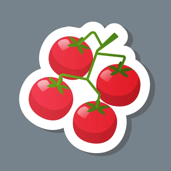 Fresh red crerry tomato branch sticker tasty vegetable icon healthy food concept — Stock Vector