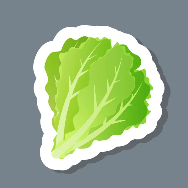 Salad hijau segar meninggalkan stiker selada ikon sayuran yang lezat konsep makanan sehat - Stok Vektor