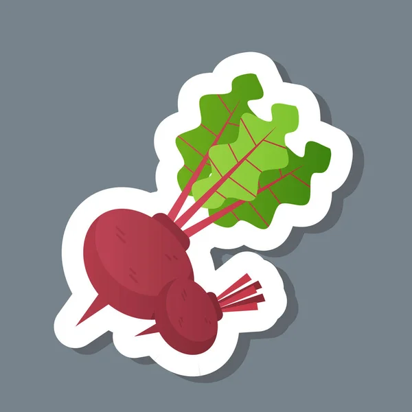 Betterave fraîche avec autocollant feuilles savoureux légume icône saine concept alimentaire — Image vectorielle