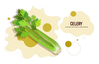 Taze kereviz çıkartması lezzetli sebze ikonu sağlıklı gıda kavramı yatay kopyalama alanı