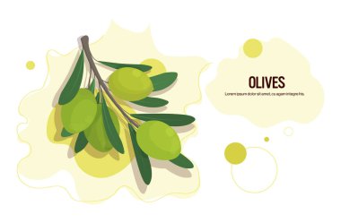 Taze zeytin dalı çıkartması lezzetli sebze ikonu sağlıklı gıda kavramı yatay fotokopi alanı